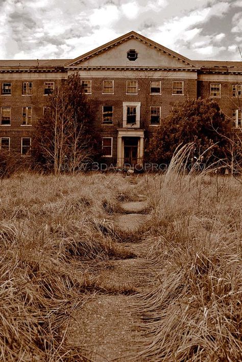 Abandoned Forest, Abandoned Detroit, Abandoned Hotels, Old Abandoned Buildings, Abandoned Asylums, Creepy Houses, Abandoned Hospital, Ghost Pictures, Middle Of Nowhere