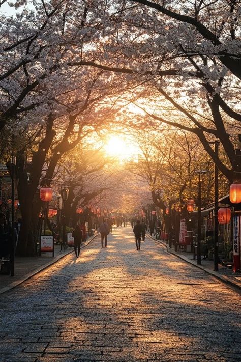 "🌸🏯 Experience the charm of Ueno Park in Tokyo! Stroll through lush gardens, visit museums, and enjoy seasonal cherry blossoms in this historic urban park. 🌳🗼 #UenoPark #Tokyo #CherryBlossoms" Ueno Park Tokyo, Ueno Park, Urban Park, Lush Garden, Green Space, Tokyo Japan, Cherry Blossoms, Cherry Blossom, Lush