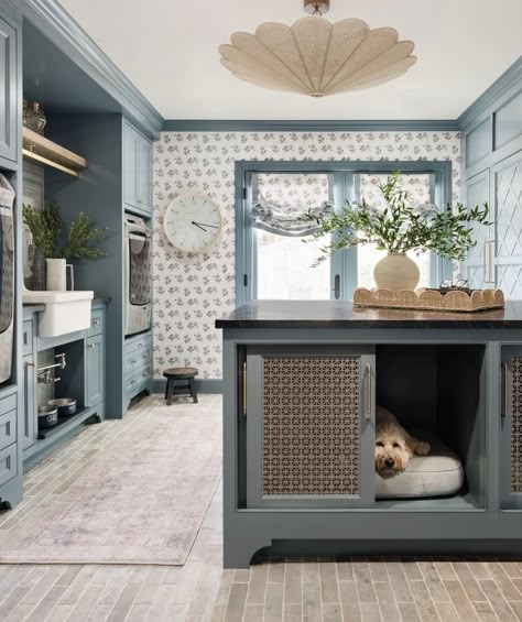 Dog Drinking Station, Home Trim Ideas, Dog Sleeping Area, Mud Dog Room, Laundry Drop Zone, Room Nook Ideas, Groomer Salon, Drinking Station, House Flipping Ideas