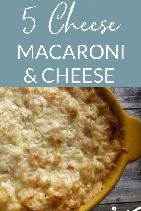 5 different cheeses are added to this Mac & Cheese Recipe - you will LOVE this one! The Macaroni noodles are baked in a decadent cheesy sauce until bubbly and melty! A family favorite 5 Cheese Mac And Cheese Recipe, Mac And Cheese Gouda, Asiago Recipes, Gouda Mac And Cheese Recipe, Thanksgiving Mac And Cheese, Different Cheeses, Macaroni Noodles, Cheese Macaroni, Smoked Gouda Cheese