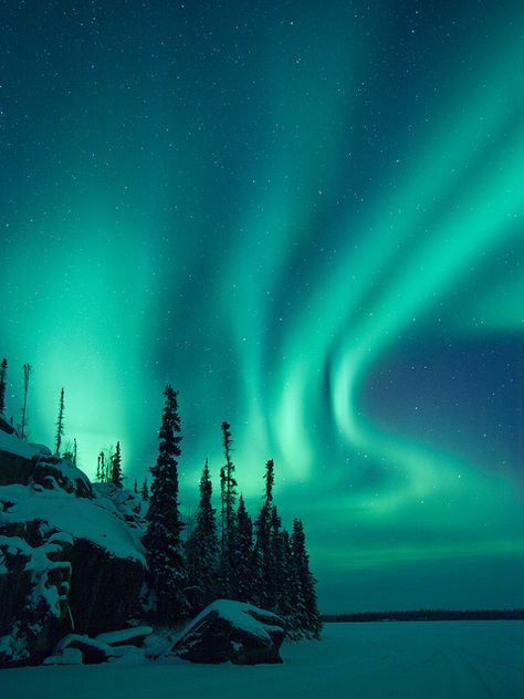 Aurora Borealis - Saw this once with Amy up in Plattsburgh.  One of the most amazing things to witness ever. Northern Lights (aurora Borealis), Aurora Borealis Northern Lights, Image Nature, Natural Phenomena, Beautiful Sky, Nature Travel, Aurora Borealis, Amazing Nature, Beautiful World