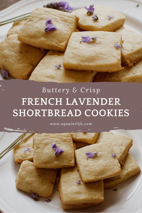 French Lavender Shortbread Cookies - A Quaint Life Cookies For Spring, Lavender Shortbread Cookies, Cottagecore Recipes, Lavender Shortbread, Culinary Lavender, Coffee Cookies, Buttery Cookies, French Lavender, Homemade Vanilla