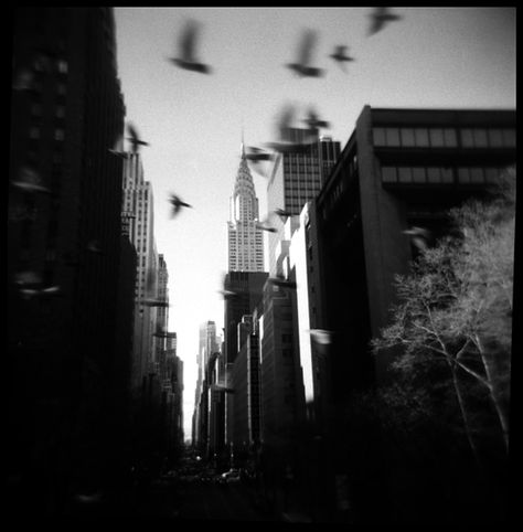 42nd Street | New York City | camera: Holga 120N | film: Fomapan 400  2012 Digital Phone, 120 Film, Street New York, 42nd Street, Toy Camera, Casino Poker, Games Online, Live Casino, Photography Inspo