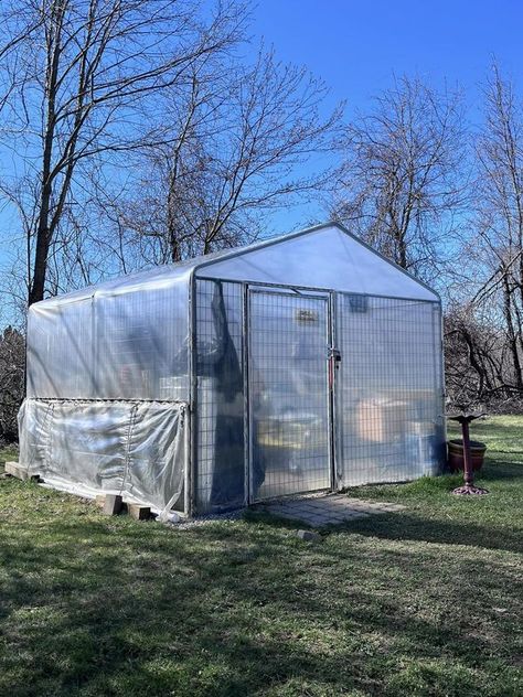 Cheap Greenhouse, Winter Greenhouse, Diy Dog Kennel, Outside Dogs, Build A Greenhouse, Backyard Poultry, Dog Pen, Urban Homesteading, Diy Greenhouse