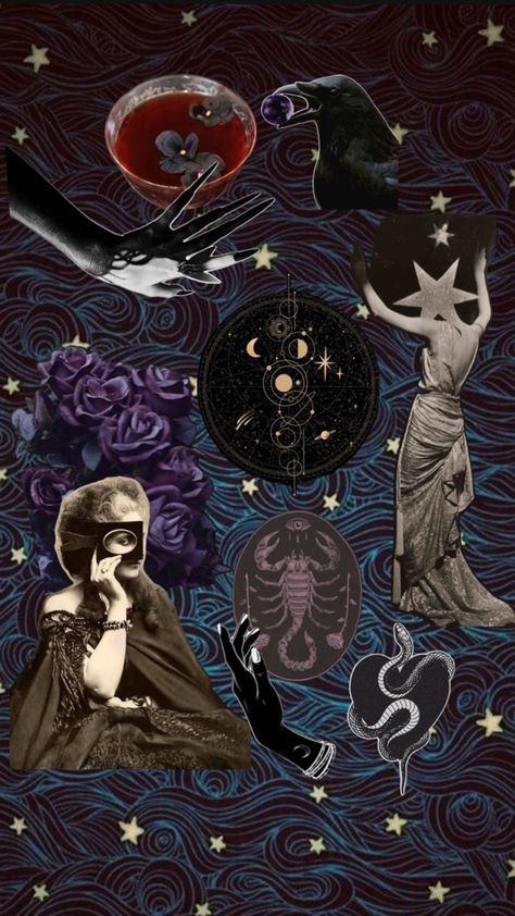 A moodboard for a witchy, spooky, celestial and dark aesthetic brand and web design inspiration #moodboard #branding #websitedesign Moodboard Branding, Branding Moodboard, Inspiration Moodboard, Branding Mood Board, Website Design Inspiration, Web Design Inspiration, Coven, Branding Inspiration, Dark Aesthetic