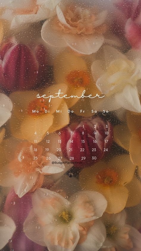 Wallpaper I Asethetic I IoS I Calender I September I 2023 September 2023 Wallpaper Iphone, September Wallpaper Ipad, September Vibes Wallpaper, September 2023 Wallpaper, September Calendar 2023, September Wallpaper Aesthetic, Wallpaper September, Yellow Flower Wallpaper, September Wallpaper