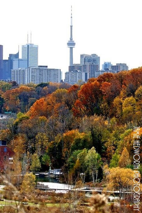 https://flic.kr/p/z2Q5R1 | Toronto Fall Portrait 3 HDR | Please visit www.jamiehedworth.com for information on purchasing this image. Different sizes and finishes are available.  Follow me on Facebook at www.facebook.com/jamiehedworthphotography or Find me on Instagram  www.instagram.com/jamiehedworthphotography Canadian Aesthetic, Fall In Canada, Toronto Activities, Toronto Fall, Wallpaper Toronto, Canada Autumn, Fall Portraits, Niagara Region, Toronto City