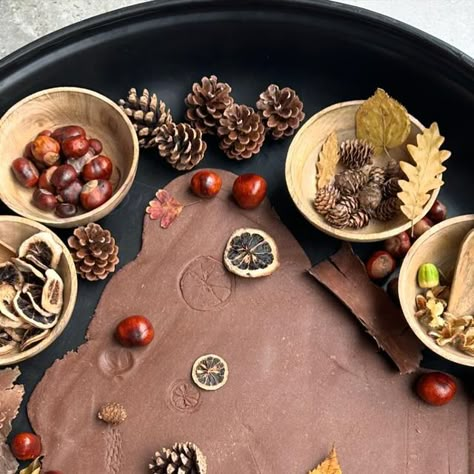 Katie Taylor on Instagram: "🍂AUTUMN TUFF TRAYS🍁 I have had such lovely feedback on this new resource, I am glad you all think it’s useful.  This is one of the ideas in the download (there’s a total of 21 pages in the pdf). Roll out playdough as a base and surround with some autumn nature to explore the prints. Super for fine motor and a sensory experience!   Download the resource from my website or join my membership to get this and all of my resources included.   The sweet wooden bowls and scoops are from @hope_earlyyears 🤎  #eyfs #tufftray #autumn #autumnplay #autumntray #tufftrayideas #tufftrayfun #tufftrayactivities #earlyyearsoutdoor #earlyyearsoutdoors #earlyyearsoutdoormembership #earlyyearsideas #earlyyearseducation #teacher" Autumn Sensory Tuff Tray, Playdough Tuff Tray Ideas, Playdough Tuff Tray, Autumn Curiosity Approach, Autumn Sensory Tray, Fall Tuff Tray Ideas, Autumn Tuff Tray Ideas Eyfs, Autumn Tuff Tray, Autumn Playdough