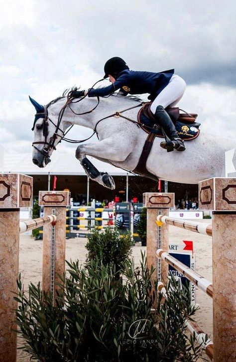 Jessica Springsteen, Riding Clothes, Horse Riding Clothes, In The Stars, Horse Jumping, White Horse, Horse Riding, Stars, Flowers