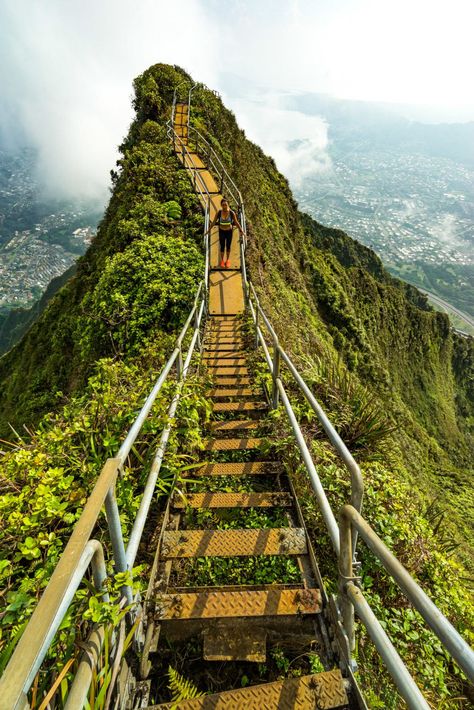 Hawaii Life, Hidden Beach, Stairway To Heaven, Hawaii Vacation, Oahu Hawaii, Maui Hawaii, To Heaven, Sunset Beach, Hawaii Travel