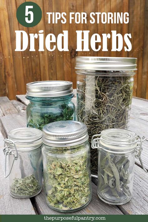 Are you using these best tips for storing dried herbs in your pantry and spice cabinet? Make sure you're making the most out of your herb garden and dehydrating projects by storing them properly to extend their usefulness in your long-term food storage goals. Dehydrating Vegetables, Dehydrated Recipes, Storing Herbs, Dehydrating Food Storage, Herb Diy, Dehydrating Food, Herb Storage, Dehydrated Foods, Preserving Herbs