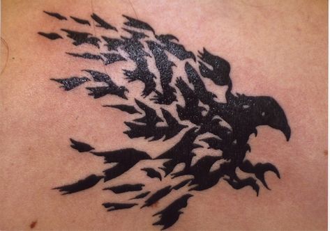 @jennifer könig & @Leslie Miller !!!

Murder of Crows Tattoo by bizarre ink #Crow #Tattoo #bizarre_ink Raven Tattoo Ideas, Symbols Tattoos, Rabe Tattoo, Parrot Tattoo, Crow Tattoo Design, Tatuagem Masculina Pequena, Epic Tattoo, Crow Tattoo, Raven Tattoo