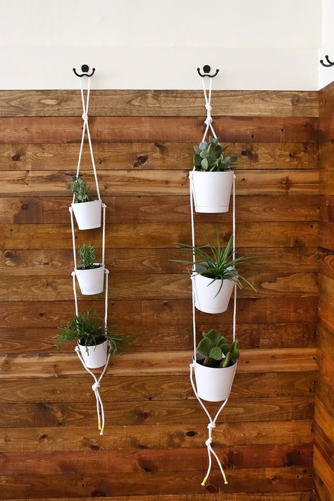 3 Tier Indoor Rope Planter Rope Planter, Diy Planters Indoor, Tiered Planter, Rope Projects, Rope Diy, Hanging Plants Indoor, Pot Hanger, A Beautiful Mess, Plastic Planters