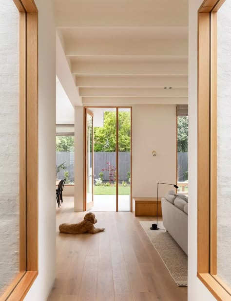 A California Bungalow That Changes With The Seasons Extension House Ideas, Modern Californian Bungalow, Four Seasons Room Ideas, California Bungalow Aesthetic, Californian Bungalow Renovation, California Bungalow Extension, Muji House Exterior Bungalow, Window Architecture, California Bungalow