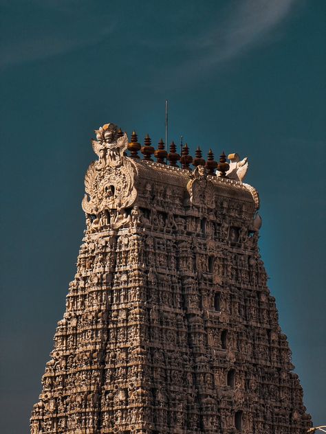 Free The Thiruchendur Murugan Temple in Tamil Nadu, India Stock Photo Tamil Nadu Aesthetic, Thiruchendur Murugan Hd Wallpaper, Thiruchendur Murugan Temple, Thiruchendur Murugan, Tamil Aesthetic, Temple Aesthetic, Murugan Temple, Shiva Mantra, Temple Photo