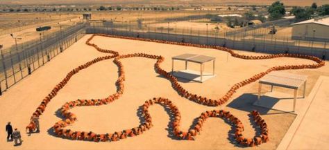 Human Centipede 3 trailer: So this is what a 500-person centipede looks like (predictably horrible) - Films - Arts and Entertainment - The Independent The Human Centipede, Human Centipede, Red Band, Movie Photo, Halloween Horror, Scary Movies, Screen Shot, Cinematography, Full Movies