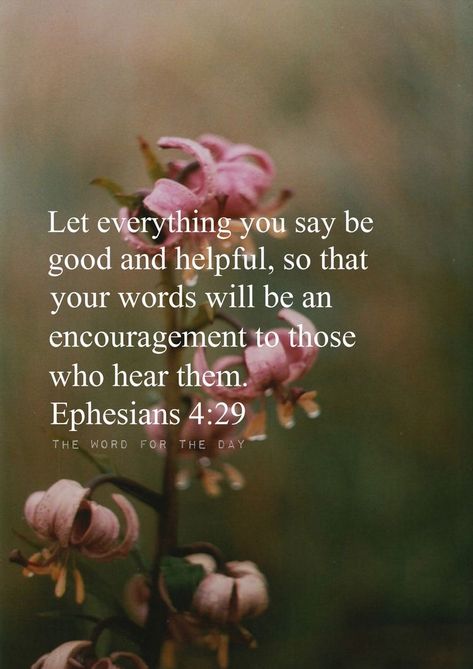 That reminds me of my small group leader who really embodies this verse. She is ideally suited for the role she is in. This morning I am thankful for that wise, kind, encouraging woman. 💕 Ephesians 4 29, Vertrouw Op God, Word For The Day, Hope In Jesus, Spring Quotes, Sacred Scripture, Cuss Words, Sunday Quotes, Biblical Verses