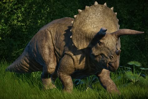 Triceratops | Jurassic World Evolution Wiki | FANDOM powered by Wikia Prehistoric Animals Dinosaurs, Jurassic World Evolution, Real Dinosaur, Jurassic Park 1993, Dinosaur Tattoos, Dinosaur Wallpaper, Dinosaur Images, Fallen Kingdom, Dinosaur Pictures