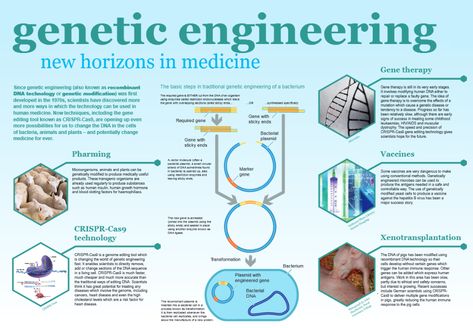 Genetic Engineering: Promises & Perils Biotechnology Poster, Engineering Animation, 3rd Grade Science Experiments, Engineering Poster, Dna Technology, Genetic Algorithm, College Job, Diy Fountain, Human Dna