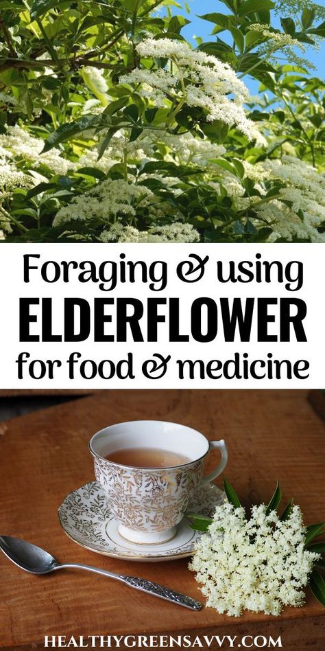 Elderflower Recipes, Elderberry Plant, Elderberry Flower, Wild Foraging, Wild Food Foraging, Foraging Recipes, Medicinal Herbs Garden, Edible Wild Plants, Medical Herbs