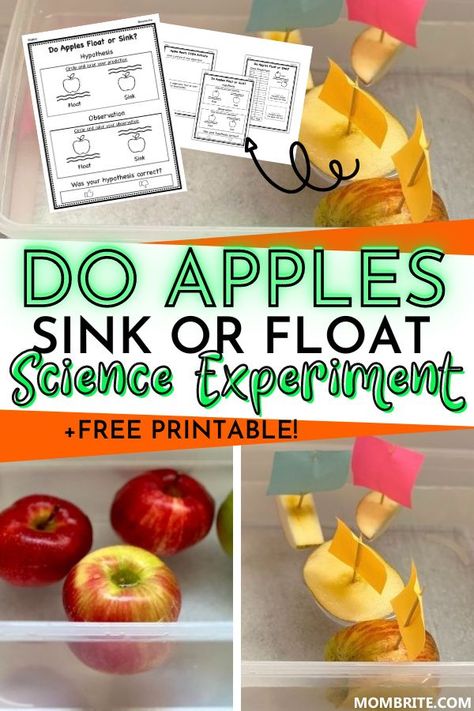 Apple Sink Or Float, Sink Or Float Experiment, Apple Boats, Kindergarten Science Projects, Floating And Sinking, Apple Theme Classroom, Food Science Experiments, Kids Science Experiment, Apple Science Experiments