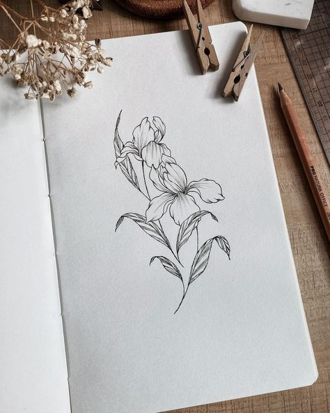 #floralinspiration • I for Iris, which is the February birth flower. Iris means faith, hope, wisdom. 🩷 I hope you have wonderful February … | Instagram Iris Flowers Drawing, February Birth Flower Tattoo, Flower Tattoo Stencils, February Birth Flower, Bookplate Design, February Birth Flowers, Iris Tattoo, Birth Flower Tattoos, Iris Flowers