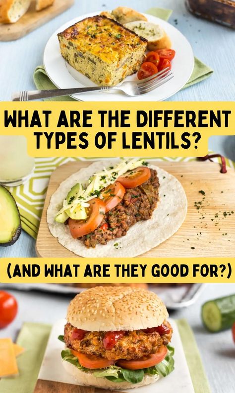 What are the Different Types of Lentils? (and what are they good for?) Lentils Nutrition, How To Cook Lentils, Meatless Meals Healthy, Canned Lentils, Lentil Burgers, Lentil Pasta, Dried Lentils, Meatless Recipes, Vegetarian Entrees