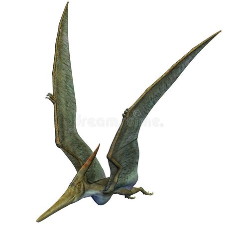 Pteranodon Dinosaur Wings Up. Pteranodon Dinosaur. From the Late Cretaceous geol , #affiliate, #Cretaceous, #geological, #period, #Late, #Pteranodon #ad Dinosaur With Wings, Cinderella Blue Dress, Wings Flying, Up Illustration, Prehistoric Wildlife, Blackout Tattoo, Dinosaur Pictures, Prehistoric World, Dinosaur Skeleton