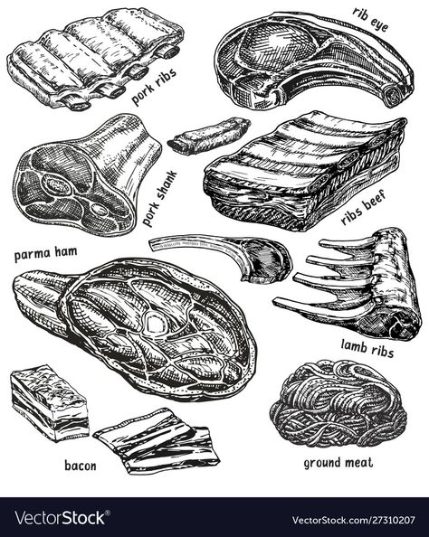 Raw Meat Drawing, Butcher Drawing, Meat Illustration, Recipes Drawing, Meat Drawing, Minced Chicken, Recipe Drawing, Lamb Ribs, Outline Images