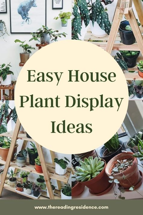 Kitchen Plant Stand Ideas, House Plants Display Ideas, Displaying Houseplants Ideas, Plant Displays Indoor, Diy Plant Display Indoor, How To Display Plants Indoors, Displaying Plants Indoors, House Plant Display Ideas, Display House Plants