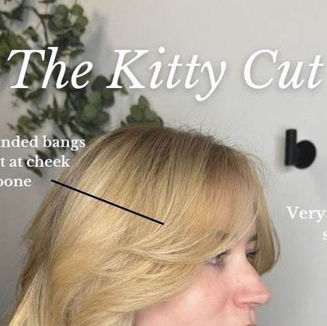 Lupita Salgado | CHICAGO IL HAIRSTYLIST on Instagram: "🌟 Introducing the Newest hair trend for 2024:  The Kitty Cut: where sophistication meets flirty 90s flair! 🐾✨ Transform your look with this purrfect hairstyle trend that’s taking the fashion world by storm.  This haircut fits well on anyone no matter what hair type you have. You don’t have to have a ton of layering done but just enough to have movement. If you have dense hair then we can debulk your hair so that it’s weightless without an overlayered look.  What do you think? Are you willing to try this new trend?   😻💇 #KittyCut #HairTrend #90sFlair #romantichair #sophisticatedhair #2024hairtrend" Dense Hair Haircut, Kittycut Hairstyle, Kitty Haircut 2024, Kitty Cut Hair 2024, Kitty Haircut, Kitty Cut Hair, Dense Hair, Diy Makeup Remover, Sophisticated Hairstyles