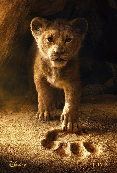 Watch The Lion King, Regard Animal, Young Simba, African Savanna, Lion King Movie, Il Re Leone, Pride Rock, Roi Lion, Film Disney