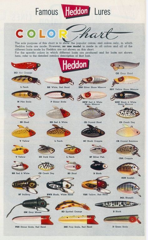 Rapala Fishing Lures, Fishing Lures Art, Vintage Lures, Fish Chart, Old Fishing Lures, Antique Fishing Lures, Fishing Graphic, Homemade Fishing Lures, Fish Lure