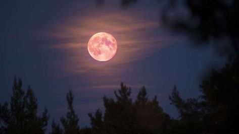 Aquí te decimos por qué se llama superluna rosa y qué noche deberás asomarte a la ventana para disfrutar de ella. The Moon Is Beautiful, Pretty Landscapes, Super Moon, Moon Lovers, Beauty Photos, Moon Child, Dark Aesthetic, Night Time, Full Moon