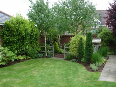 Birch Tree Garden, Garden Screening Ideas, Birch Trees Garden, 30s House, Austria House, Screening Ideas, Silver Birch Tree, Birch Trees Landscaping, New Garden Ideas