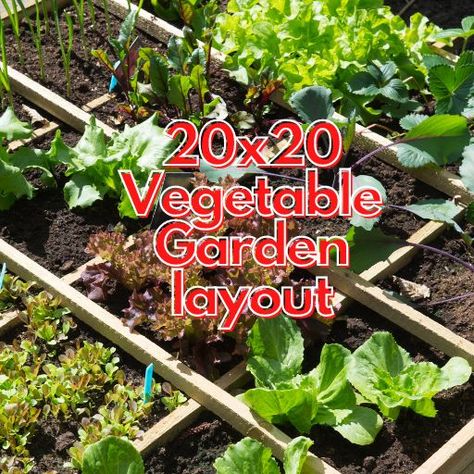 Create A Lush 20x20 Vegetable Garden layout With This Step-By-Step Guide Dream Vegetable Garden, Garden Layout Ideas Vegetable, Fruit Garden Layout, Garden Map, Vegetable Garden Layout Design, Vegetable Garden Layout, Garden Layout Ideas, Squash Plant, Garden Organization