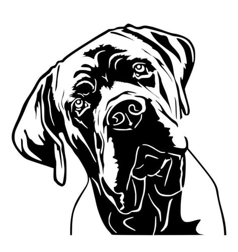 Bull Mastiff Tattoo, English Mastiff Drawings, Mastiff Tattoo Ideas, Cane Corso Tattoo Ideas, Cane Corso Tattoo, Dog Face Drawing, Surreal Art Painting, Art Deco Borders, Cane Corso Puppies