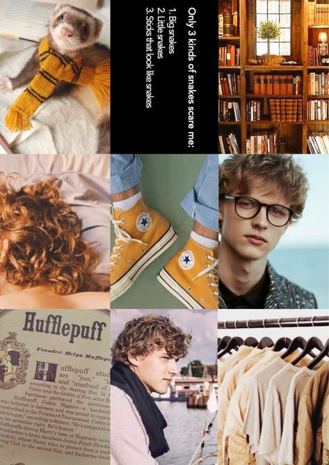 Justin Finch-Fletchley Aesthetic inspiration Harry Potter hufflepuff Justin Finch Fletchley Harry Potter, Justin Finch Fletchley, Hufflepuff Characters, Hufflepuff Students, Teddy Lupin, Triwizard Tournament, Hufflepuff Aesthetic, Potter Aesthetic, The Goblet Of Fire