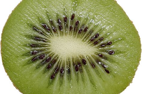 Kiwi is a small fruit packed with a large amount of nutrients. A serving of kiwi has 5 grams of fiber and twice the calcium of an orange. Most of the nutritional value of a kiwi comes from the tiny black seeds that look like poppy seeds. Kiwi also contains vitamin E and vitamin A. Some might choose ... Kiwi Bread, Zucchini And Yellow Squash, Kiwi Recipes, Creamy Cucumber Salad, Creamy Cucumbers, Fruit Wallpaper, Yellow Squash, Kiwi Fruit, Cooking For One