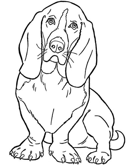 Puppy Coloring Pages, Dog Quilts, Bassett Hound, Dog Coloring Page, Cat Coloring Page, Dog Drawing, Basset Hound, Animal Coloring Pages, Coloring Book Pages