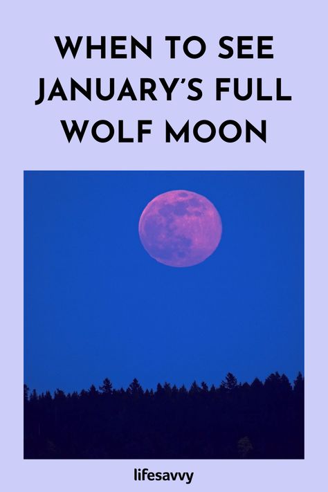 When to See January’s Full Wolf Moon – LifeSavvy Full Wolf Moon, Full Moon Spells, Capricorn Season, Moon Spells, Moon In Leo, Native American Traditions, Earth Wind, Wolf Moon, January 2024