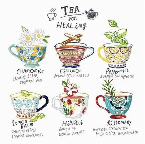 Edible Herbs, Tea Infographic, Tea For Health, Welsh Witch, Tea Blending, Earth Witch, Tea Magic, Herbs Illustration, Illustrated Recipes