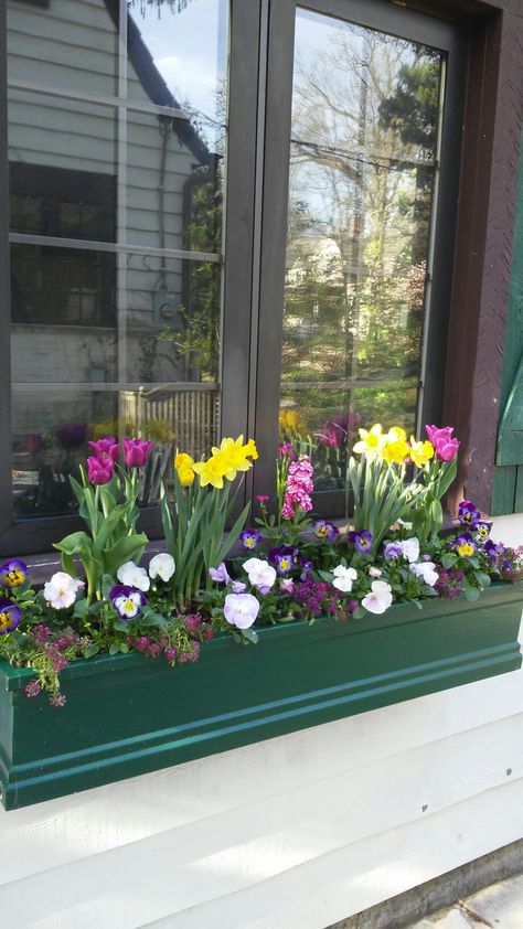 Easter Decoration Ideas, Wooden Flower Boxes, Window Box Plants, Window Box Garden, Spring Planter, Early Spring Flowers, Window Box Flowers, Window Planters, Spring Window