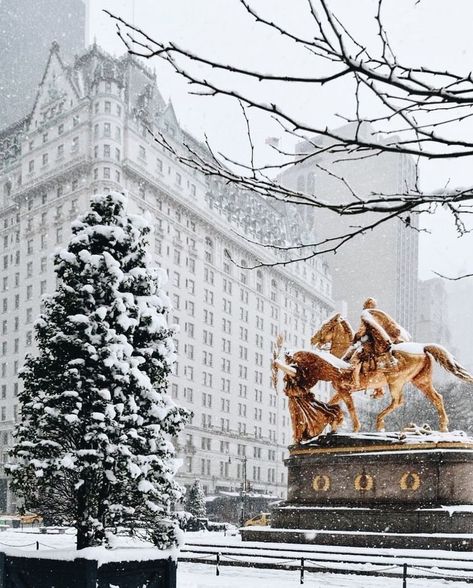 winter time The Plaza Hotel Nyc, Hotel Secrets, Lake George Village, The Plaza Hotel, Voyage New York, Nyc Christmas, Visit New York, Plaza Hotel, Lake George