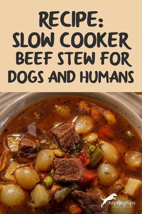 Dog Beef Stew Recipe, Instant Pot Dog Food Recipes Beef, Homemade Beef Dog Food Recipes, Dog Stew Recipe, Slow Cooker Dog Food Recipes, Beef Dog Food Recipes, Dog Soup Recipe, Beef Stew For Dogs, Soup For Dogs