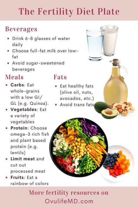 Fertility Diet Plan, Ivf Diet, Diet Plate, Help Getting Pregnant, Refined Carbs, Healthy Pregnancy Food, Fertility Nutrition, Fertility Help, Fertility Foods