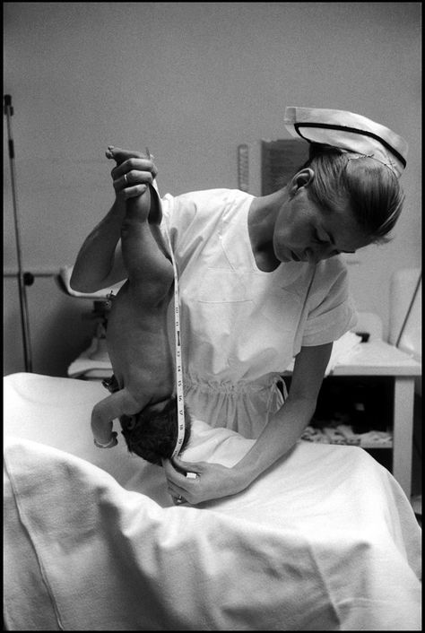 Eve Arnold, History Of Nursing, Nurse Photos, Elliott Erwitt, Neonatal Nurse, Life In Pictures, Nurse Rock, Vintage Nurse, Vintage Medical