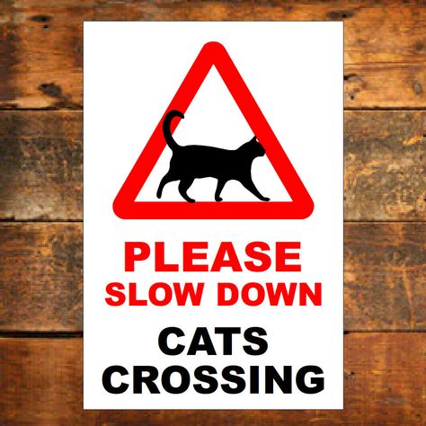 Please slow down cats crossing Sign Waterproof Solvent Resistant 9808 Crossing Sign, Community Signs, People Walking, Slow Down, Screen Printing, Premium Quality, Walking, Screen, Signs