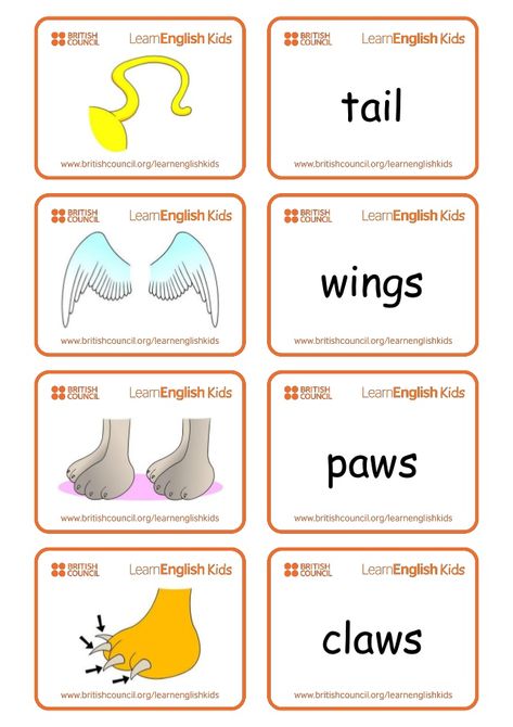 Flashcards animal-body-parts Classification Of Animals, Animals Name In English, Materi Bahasa Inggris, Body Parts Preschool, Animal Lessons, Animal Body Parts, Animal Classification, Animal Worksheets, Learning English For Kids