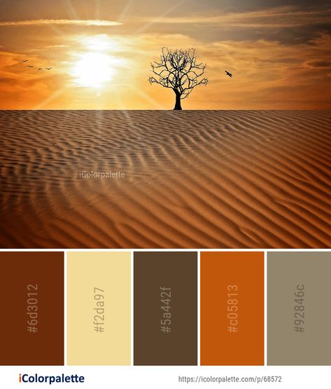 Ochre Color Palette, Zoo Logo Design, Desert Mood Board, Desert Images, Desert Color Palette, Zoo Logo, Desert Inspiration, Color Palette Theme, Ochre Color